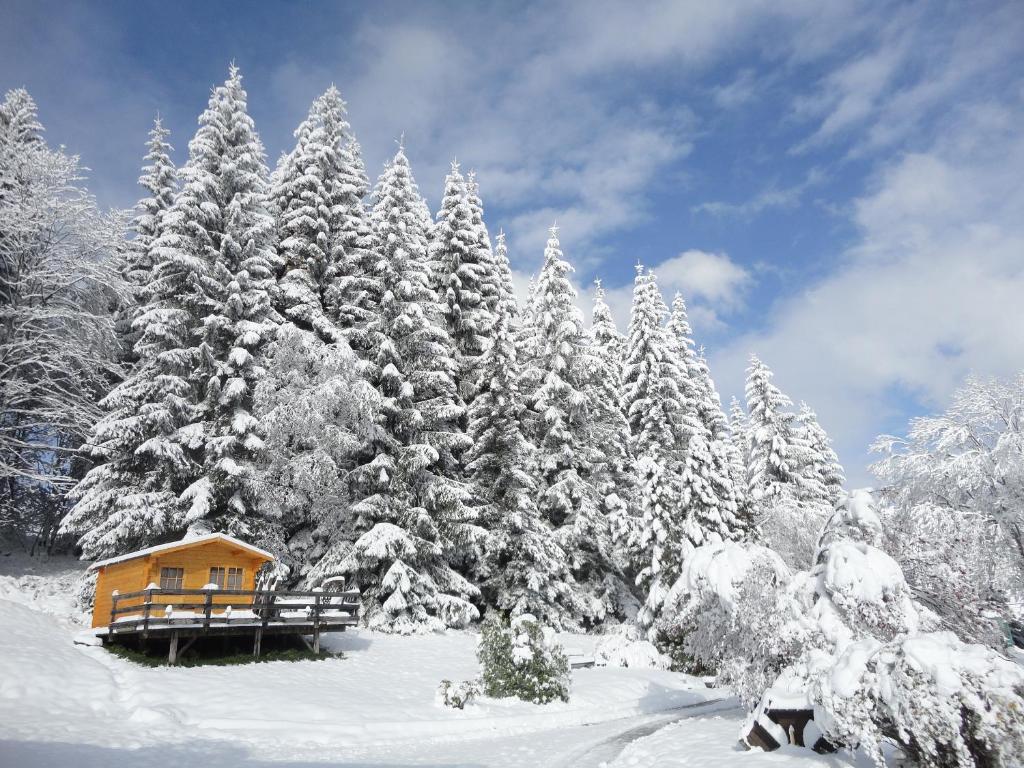 Ferienhaus Hollinger Daire Verditz Dış mekan fotoğraf