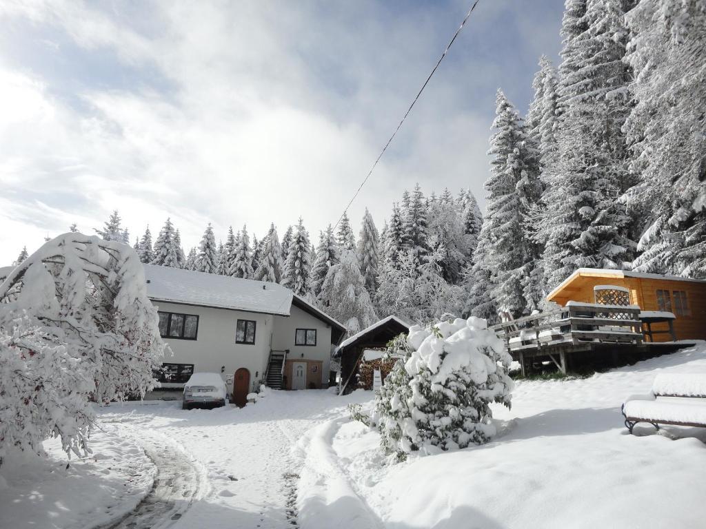 Ferienhaus Hollinger Daire Verditz Dış mekan fotoğraf