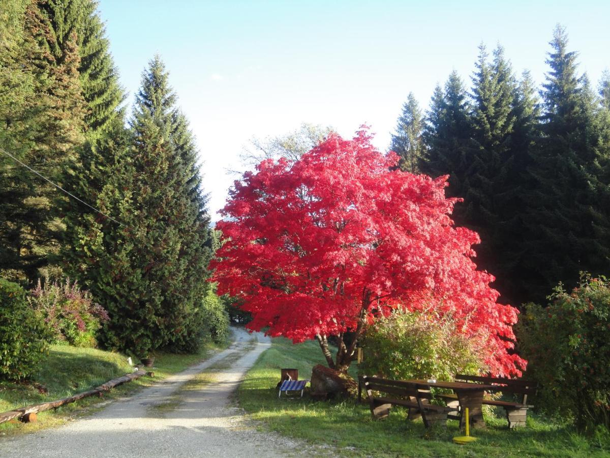 Ferienhaus Hollinger Daire Verditz Dış mekan fotoğraf