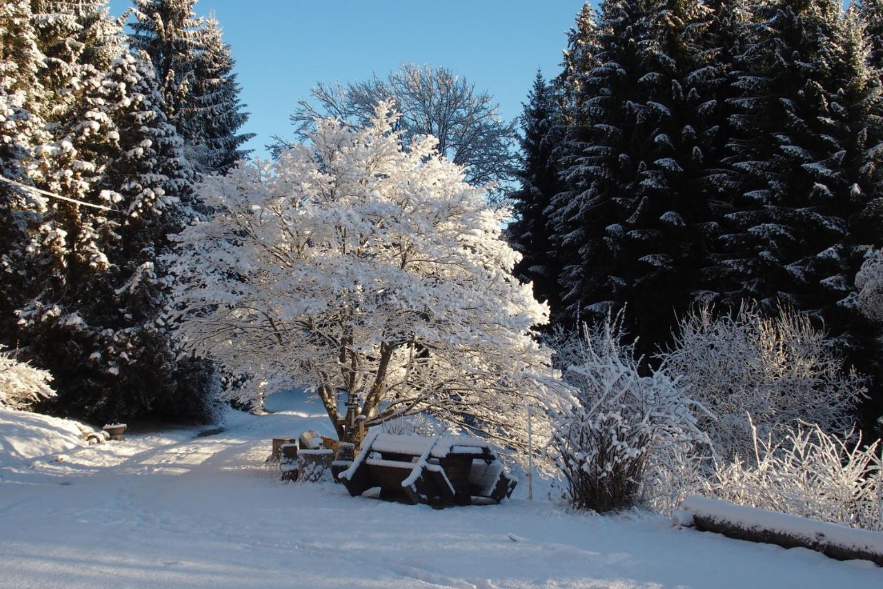 Ferienhaus Hollinger Daire Verditz Dış mekan fotoğraf