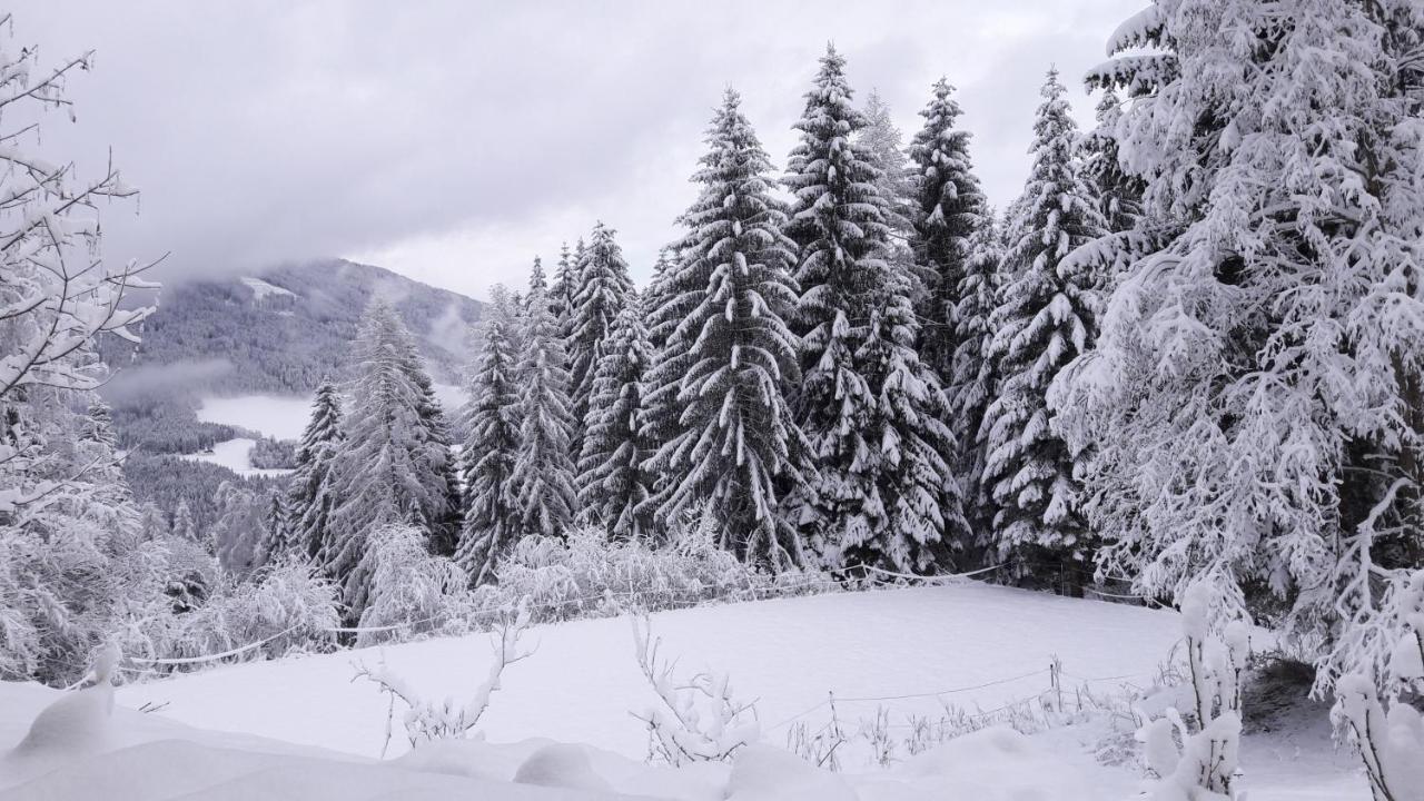Ferienhaus Hollinger Daire Verditz Dış mekan fotoğraf
